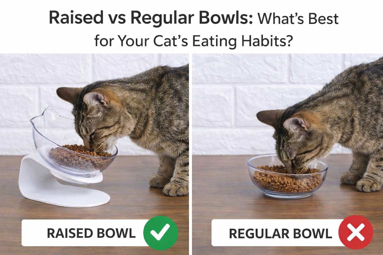 Raised vs Regular Cat Bowls: Which Is Best for Your Cat?  Farm City Pets