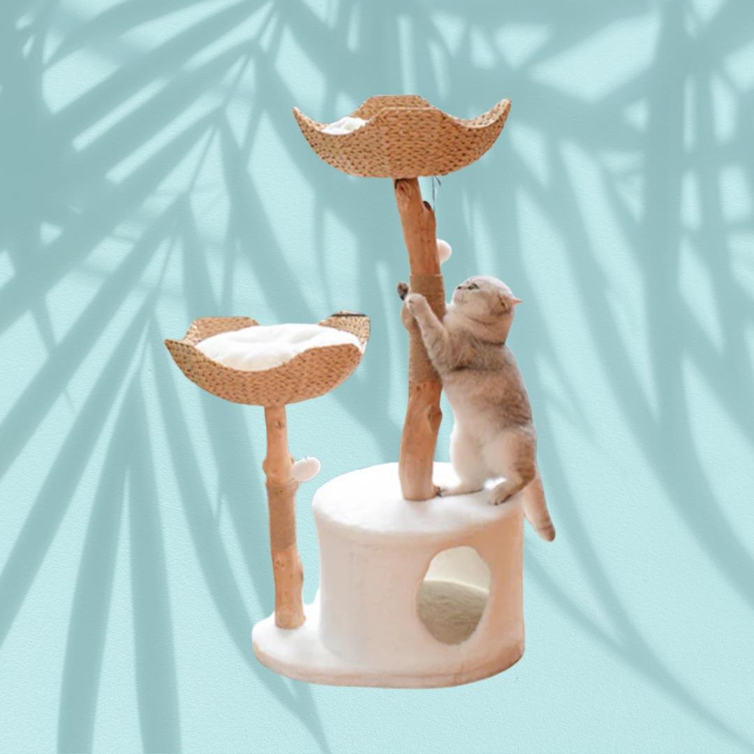 Cat Playing Rattan Basket of Climbing Frame