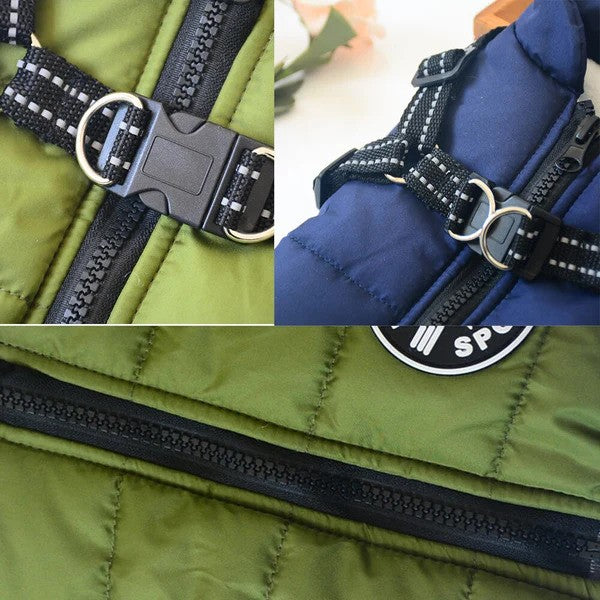 Close-up view of dog jacket zipper and buckles – durable and secure design