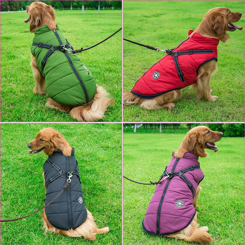 Large dogs wearing All-Weather Harness Jackets in red, black and green outdoors