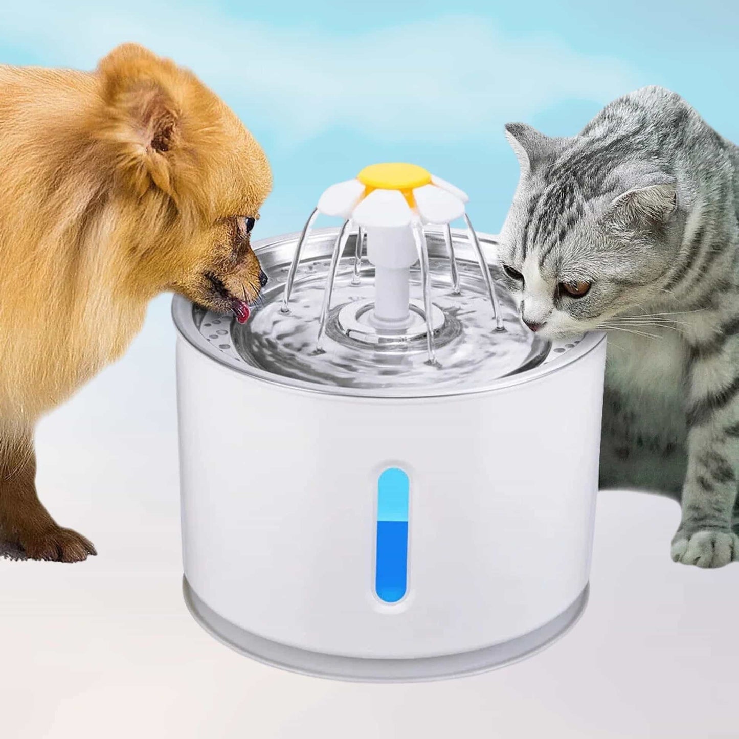 Buy Cat Water Fountain with LED & USB 2.4L