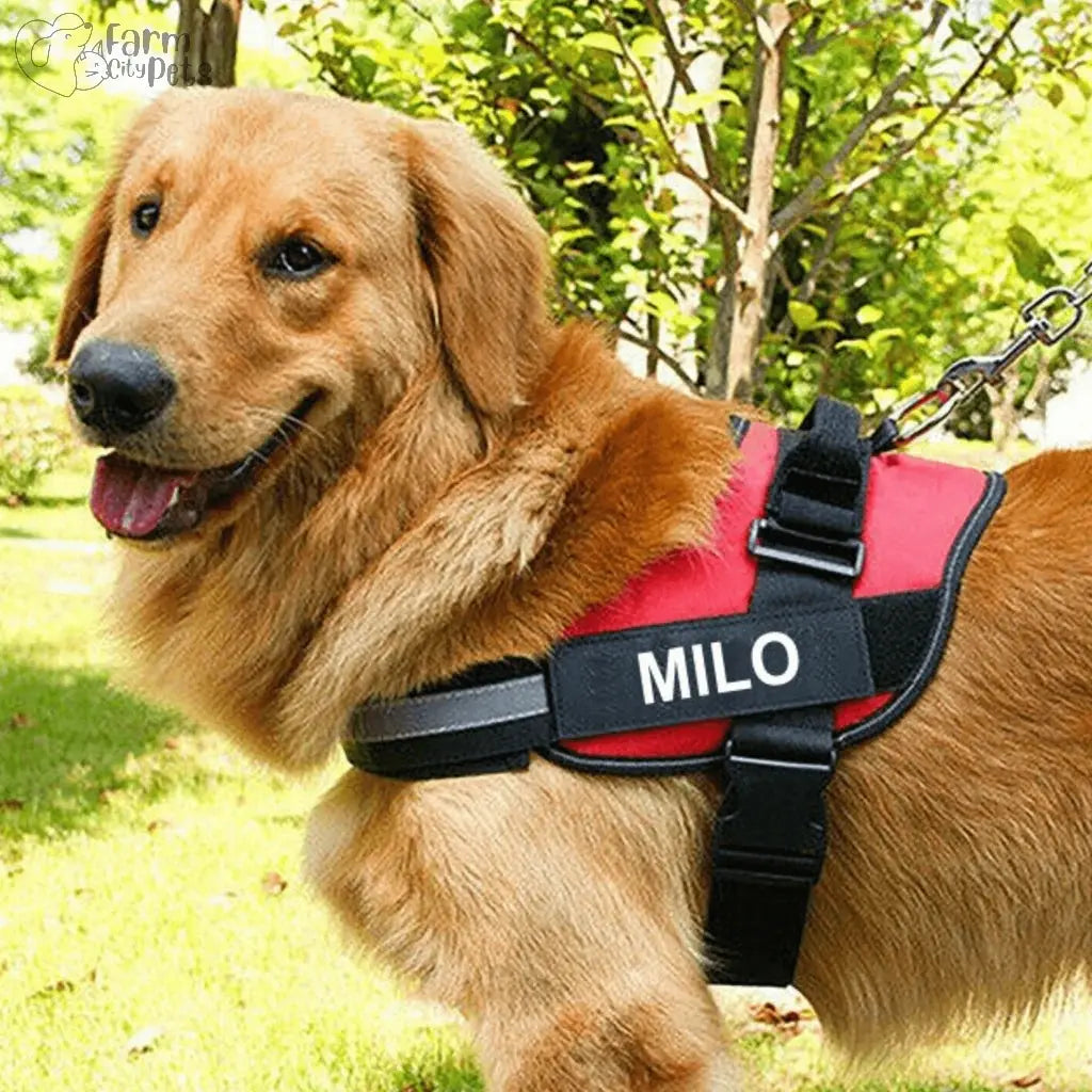 Custom No Pull Reflective Harness Farm City Pets