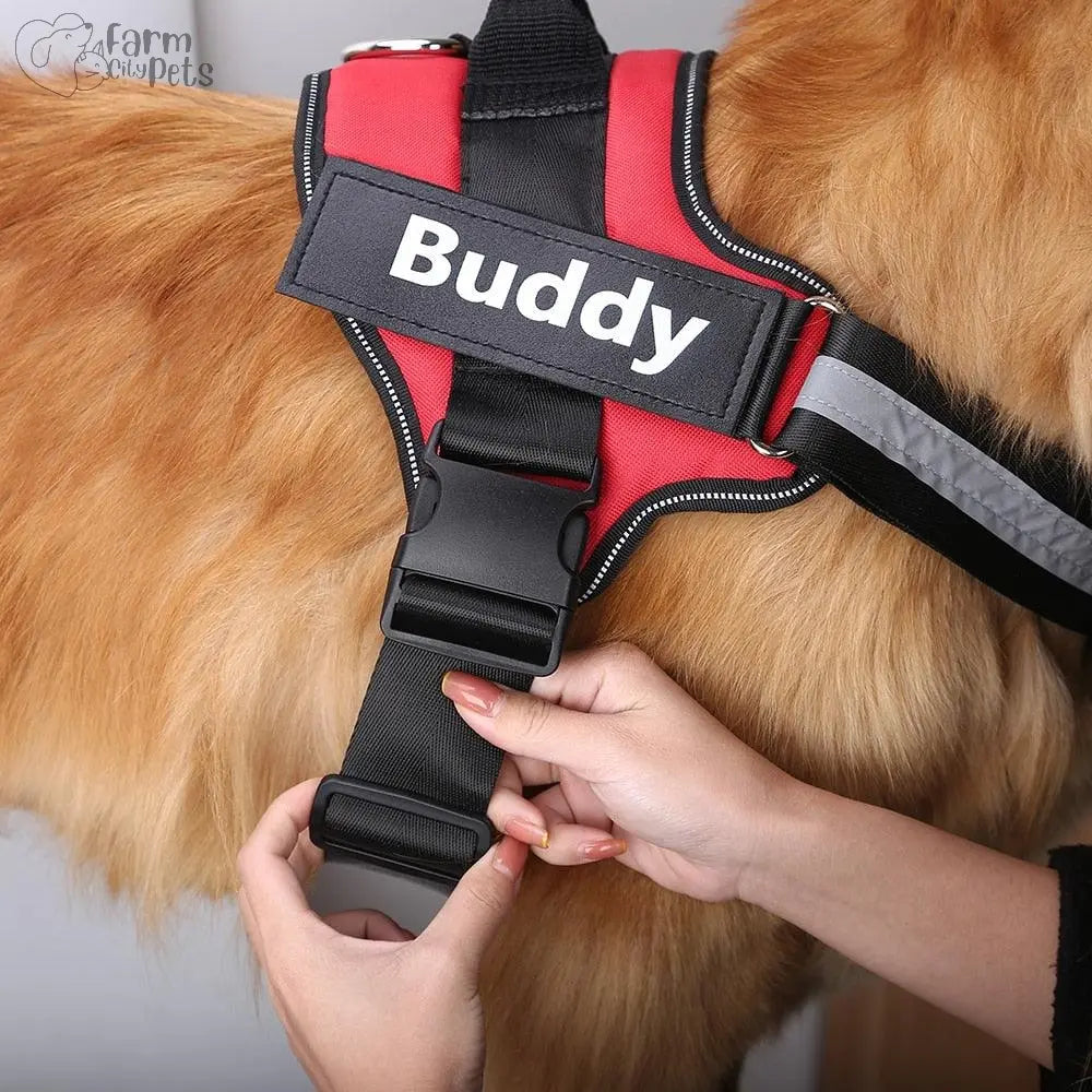 Custom No Pull Reflective Harness Farm City Pets