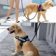 Custom No Pull Reflective Harness Farm City Pets