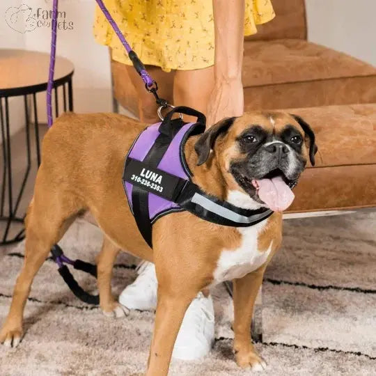 Custom No Pull Reflective Harness Farm City Pets