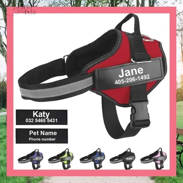Custom No Pull Reflective Dog Harness - Add Your Pet's Name Farm City Pets