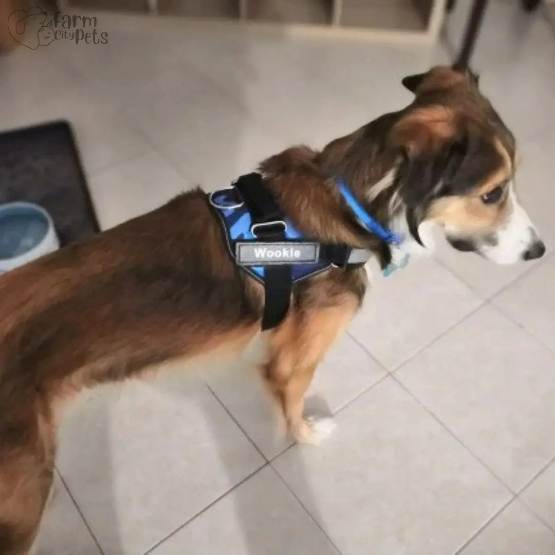 Custom No Pull Reflective Dog Harness - Add Your Pet's Name Farm City Pets