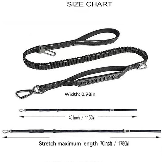 Black dog leash with measurements on a white background