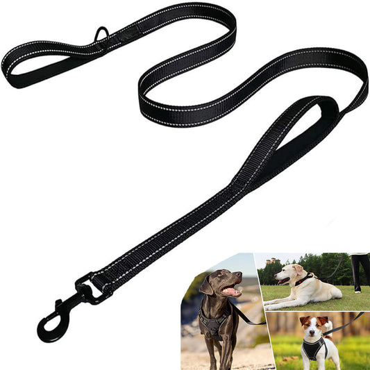Black dog leash with reflective stripes on a white background, with images of dogs wearing harnesses at the bottom.