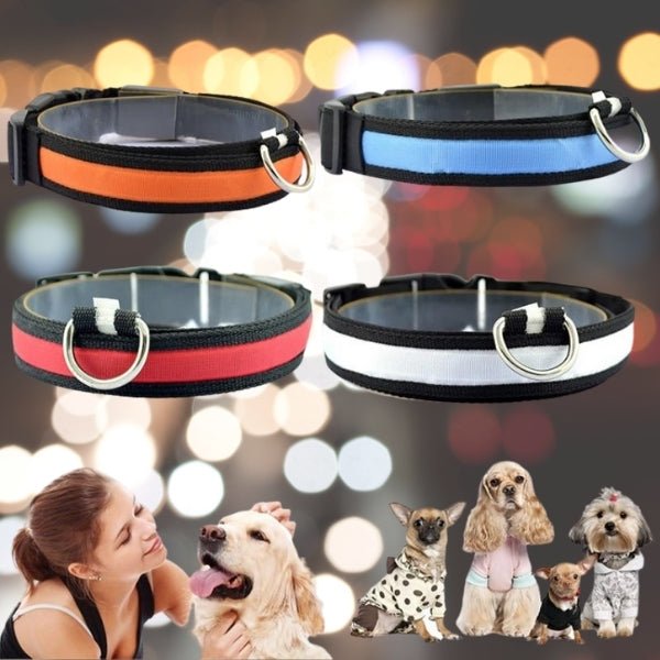 LED Pet Safety Collar - Chargeable, USB cable included Farm City Pets