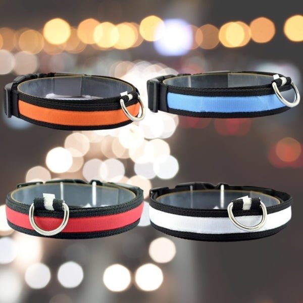 LED Pet Safety Collar - Chargeable, USB cable included Farm City Pets