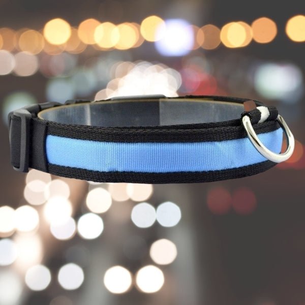 LED Pet Safety Collar - Chargeable, USB cable included Farm City Pets