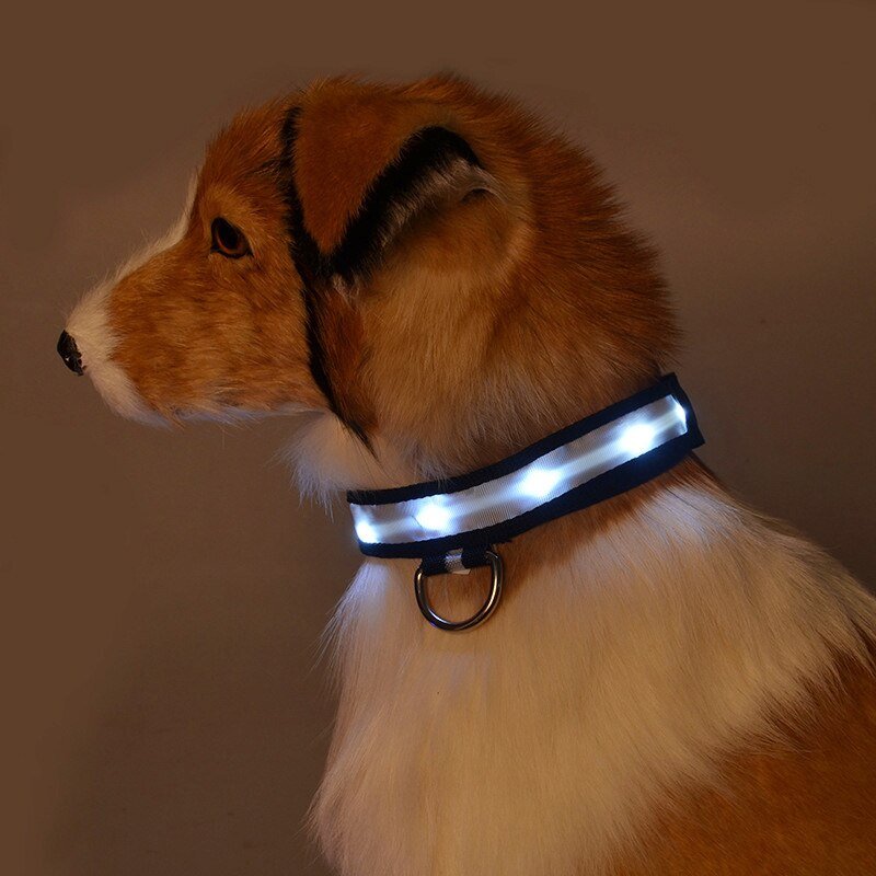 LED Pet Safety Collar - Chargeable, USB cable included Farm City Pets