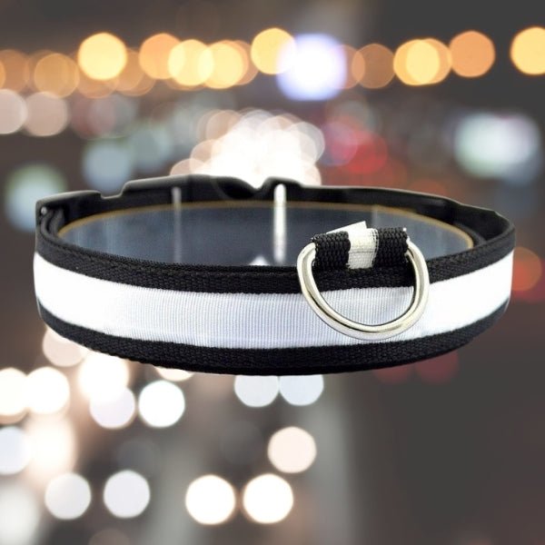 LED Pet Safety Collar - Chargeable, USB cable included Farm City Pets