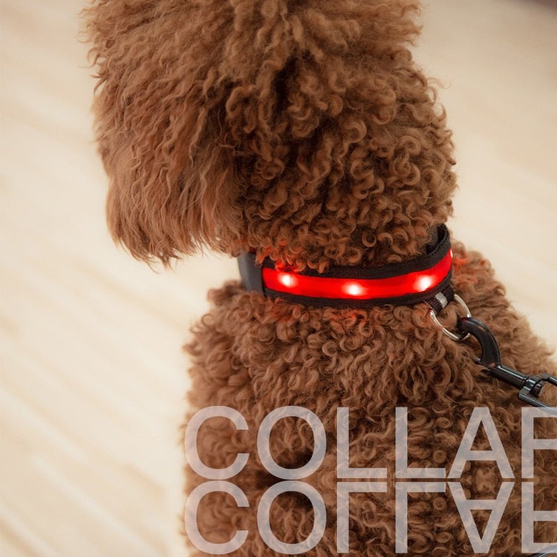 LED Pet Safety Collar - Chargeable, USB cable included Farm City Pets