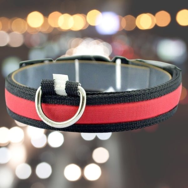 LED Pet Safety Collar - Chargeable, USB cable included Farm City Pets