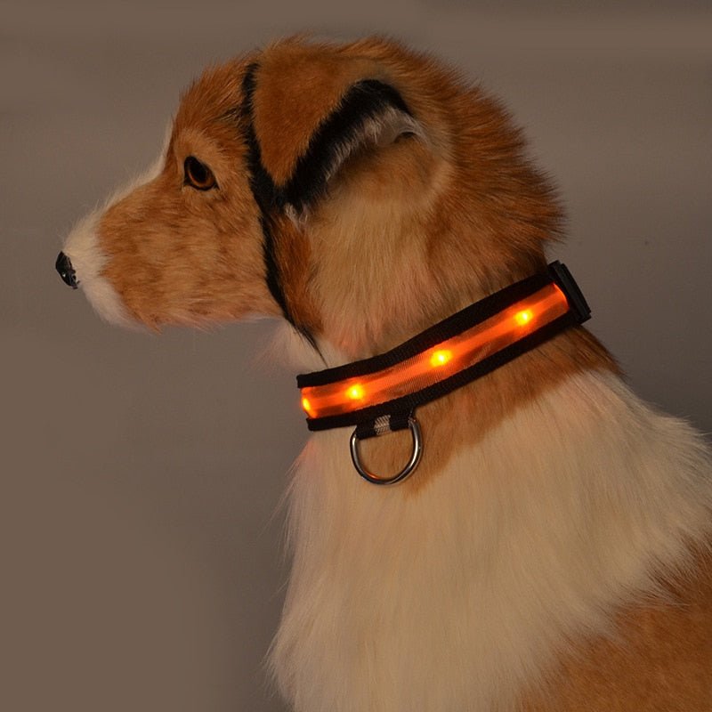 LED Pet Safety Collar - Chargeable, USB cable included Farm City Pets