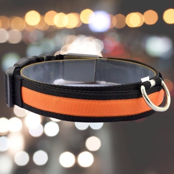 LED Pet Safety Collar - Chargeable, USB cable included Farm City Pets