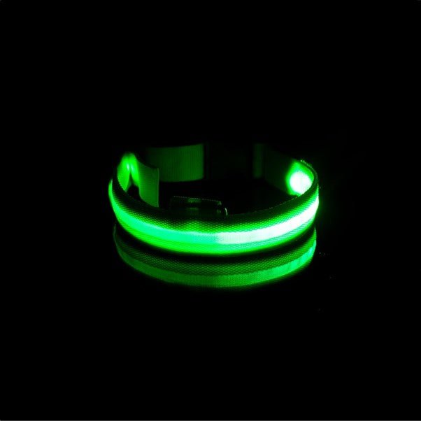 LED Pet Safety Collar - Chargeable, USB cable included Farm City Pets