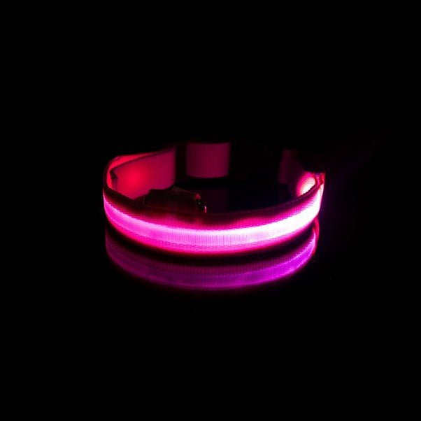 LED Pet Safety Collar - Chargeable, USB cable included Farm City Pets