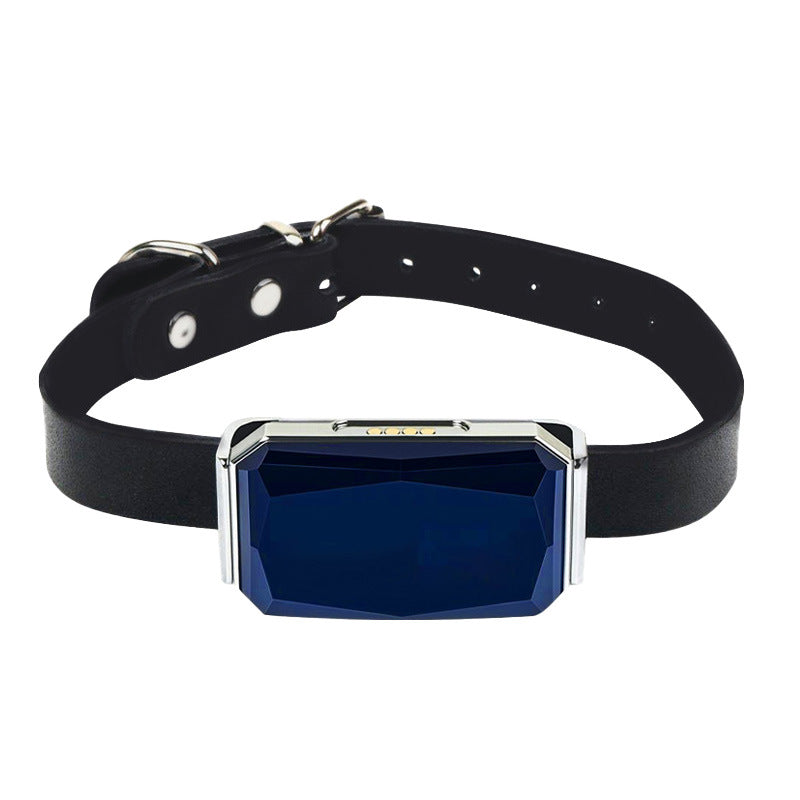 Lightweight GPS pet collar with remote monitoring – Farm City Pets