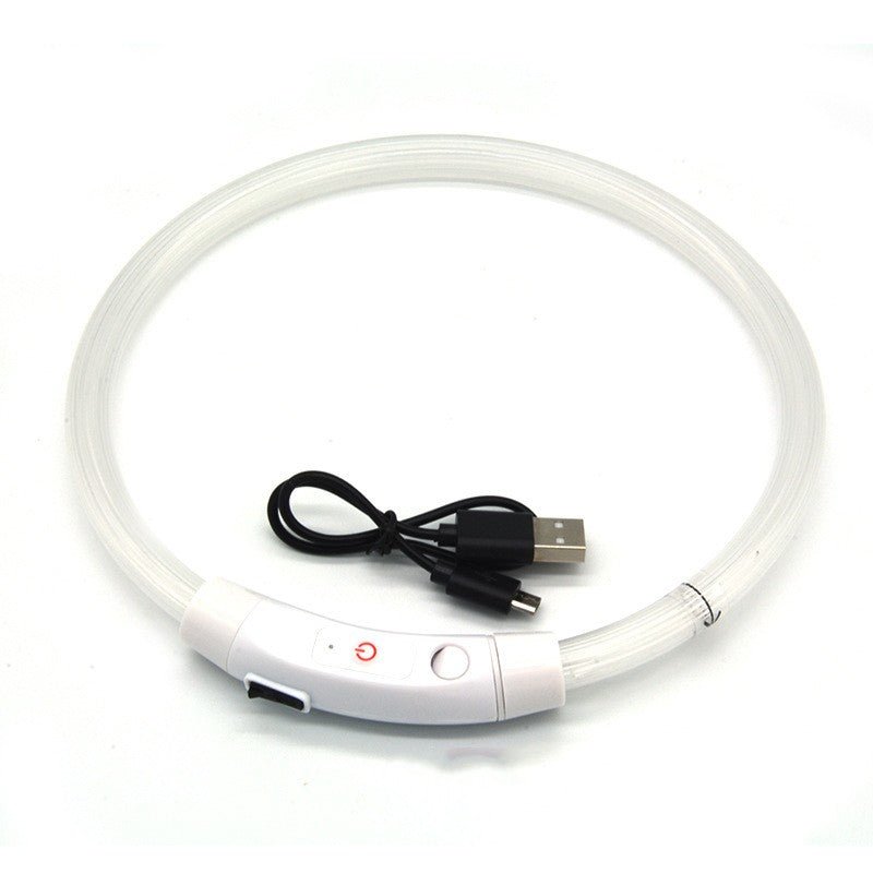 NightBright USB Rechargeable LED Dog Collar Australia