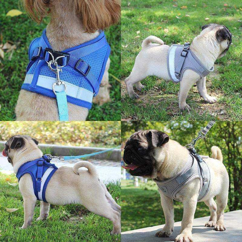 Reflective Cat Safety Harness + Leash Set Farm City Pets