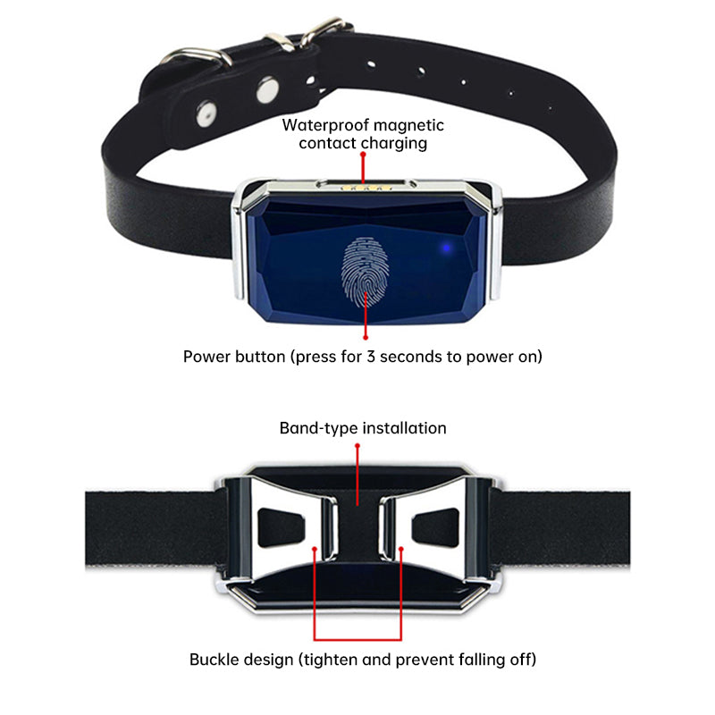 Durable GPS dog gear with geofencing – Outback ready