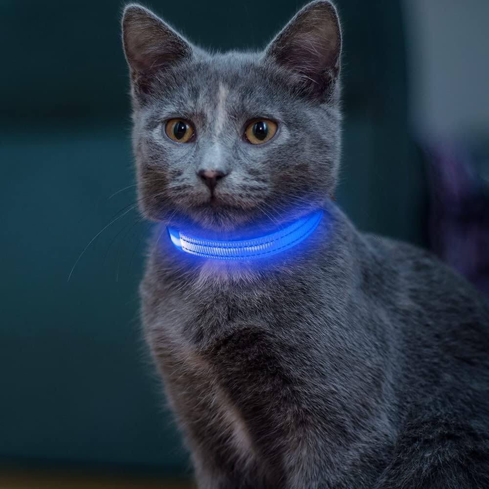 SafeGlow LED Cat Collar Farm City Pets