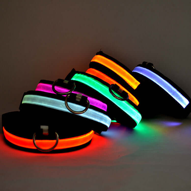 SafeGlow LED Cat Collar Farm City Pets