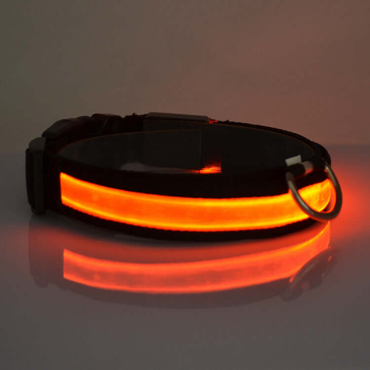 SafeGlow LED Cat Collar Farm City Pets