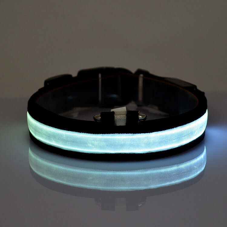 SafeGlow LED Cat Collar Farm City Pets