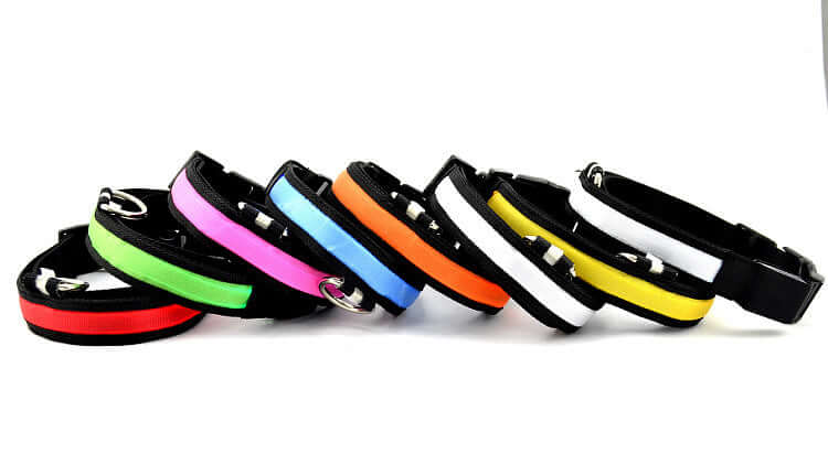 SafeGlow LED Cat Collar Farm City Pets