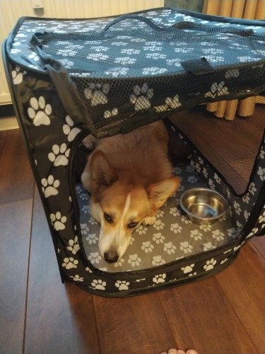 Foldable Soft Pet Crate Farm City Pets