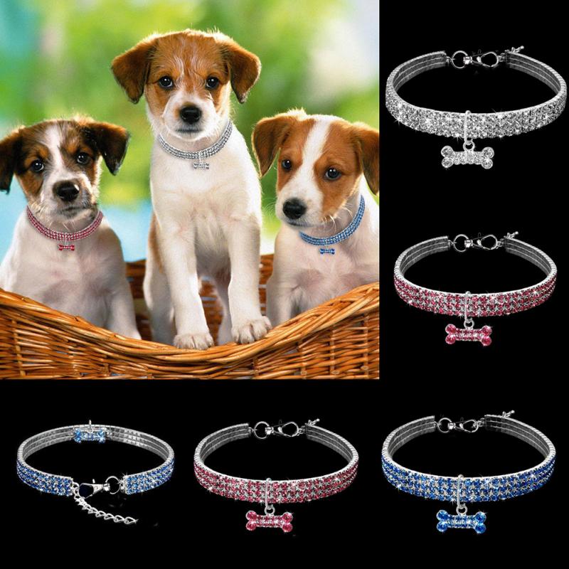 Glamorous Glitter Stretch Collar - Farm City Pets variants