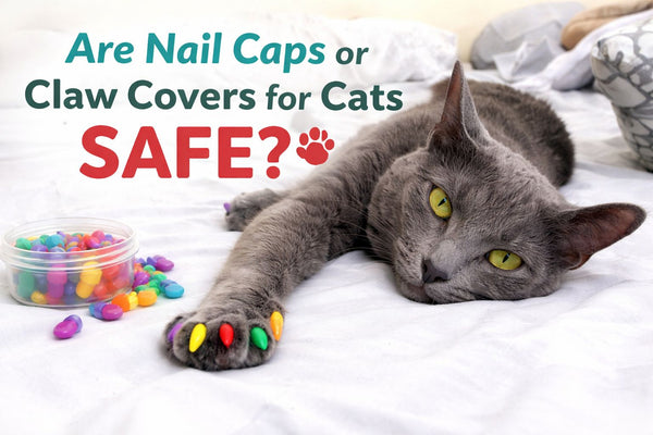 Are Nail Caps or Claw Covers for Cats Safe