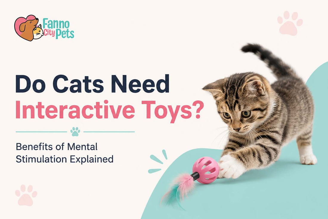 do cats need interactive toys