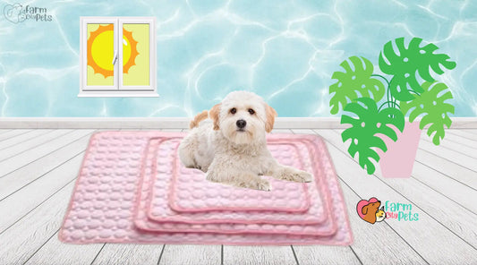 Keep Your Pets Cool This Summer with Farm City Pets’ Summertime Cooling Mat