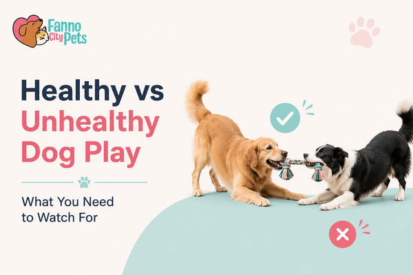 healthy vs unhealthy dog play