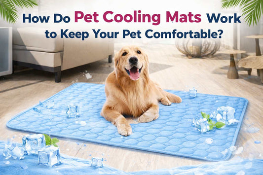 How Do Pet Cooling Mats Work?
