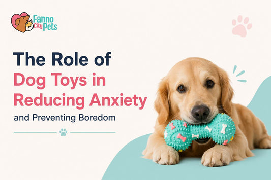 role of dog toys in reducing anxiety