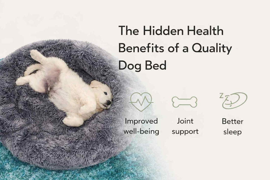 The Hidden Health Benefits of a Quality Dog Bed