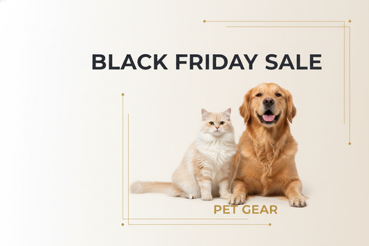 Black Friday Sale