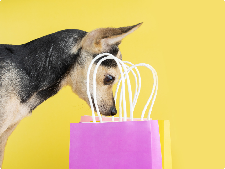 Boxing Day Sale 2025