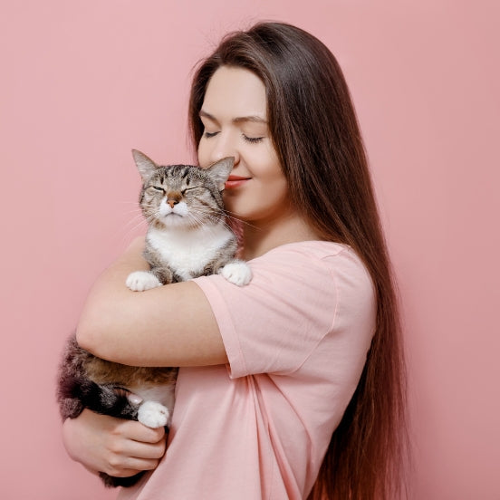 Cat Comfort Care Farm City Pets 47668644