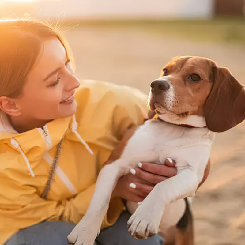 Woman in yellow rain coat holding a beagle on a beach at sunset