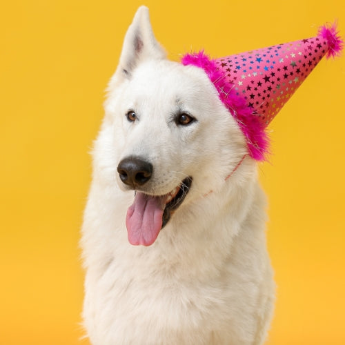 End of Year Stocktake Sale 2025