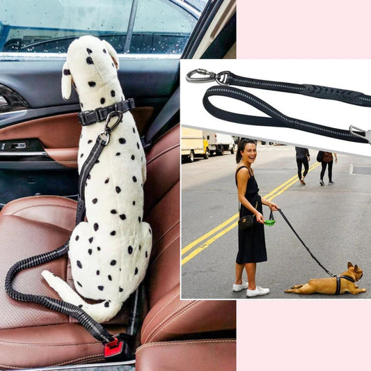Ride & Stride 2-in1 Reflective Dog Leash Farm City Pets