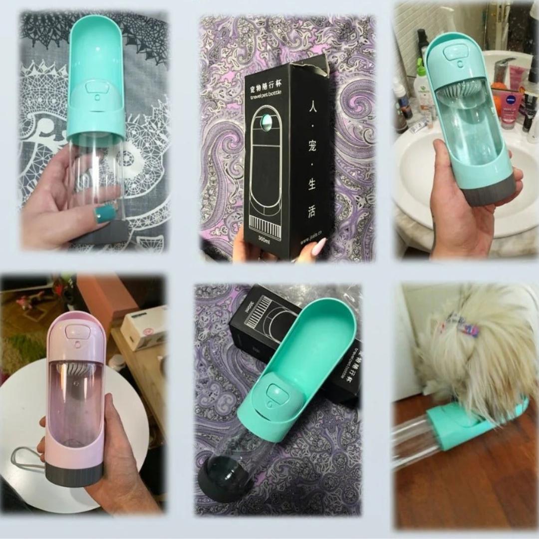 Collage of a turquoise pet water bottle with different settings