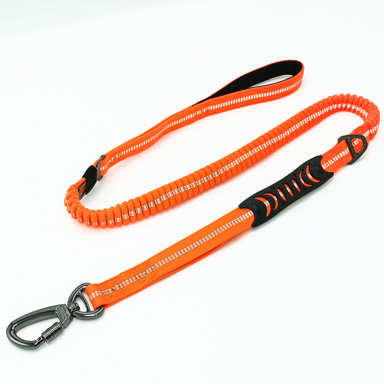 Ride & Stride 2-in1 Reflective Dog Leash Farm City Pets
